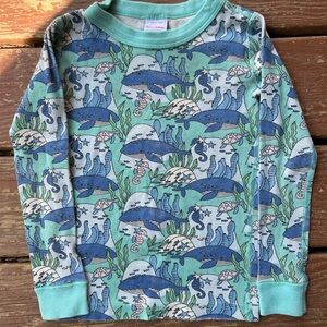 Hanna Andersson Blue and Green Sea Long Sleeve Shirt & Pants Kid/Toddler PJ SET